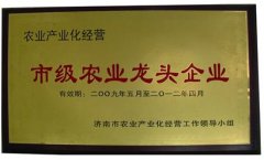 市級龍頭企業(yè)